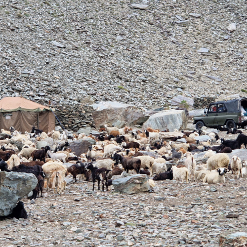 Tadjikistan, de Karakul à Sawnob. Tadjikistan, de Karakul à Sawnob.