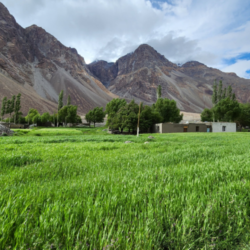 Tadjikistan, de Karakul à Sawnob.
Arrivée à Sawnob. Tadjikistan, de Karakul à Sawnob.