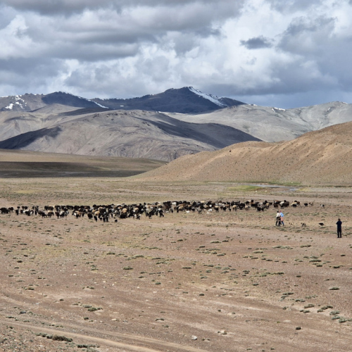 Tadjikistan, de Karakul à Sawnob.
Rencontre avec deux bergers. Tadjikistan, de Karakul à Sawnob.