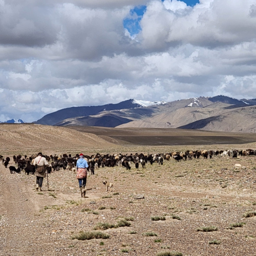 Tadjikistan, de Karakul à Sawnob.
Rencontre avec deux bergers. Tadjikistan, de Karakul à Sawnob.
