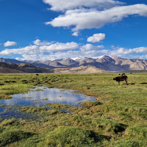 Le lac Bulunkul. Tadjikistan, Bulunkul.