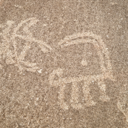 Les pétroglyphes de Langar. Tadjikistan, Langar.