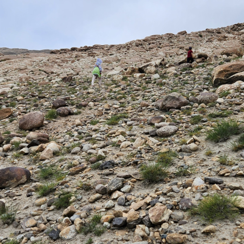 ça grimpe pour aller voir les pétroglyphes ! Tadjikistan, Langar.