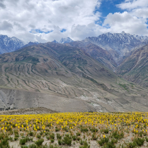 Vallée de la Pamir. Tadjikistan, Haut Badakhchan.