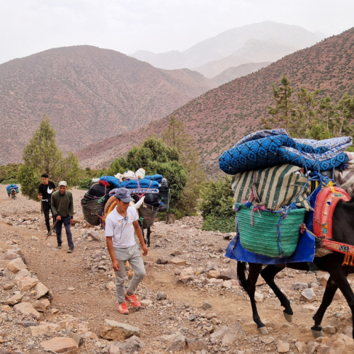 Les muletiers avec tout le matériel et vos sacs. Maroc, Trek Djebel Toubkal.