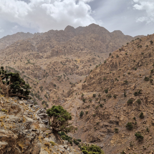 Nous passons des collines à la moyenne montagne. Maroc, Trek Djebel Toubkal.