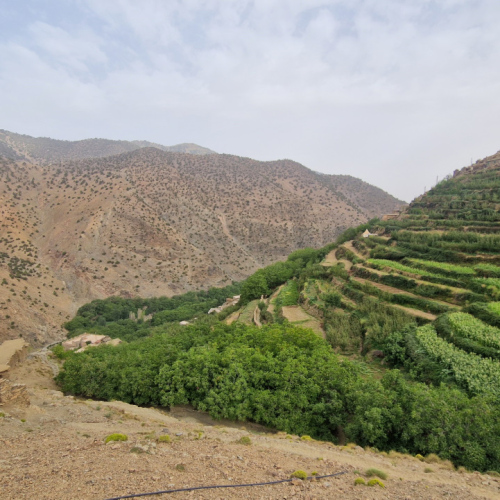 Culture en espaliers. Maroc, Trek Djebel Toubkal.