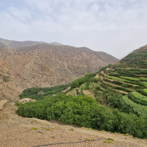 Culture en espaliers. Maroc, Trek Djebel Toubkal.
