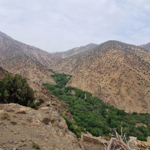 Sur le chemin de notre trek. Maroc, Trek Djebel Toubkal.