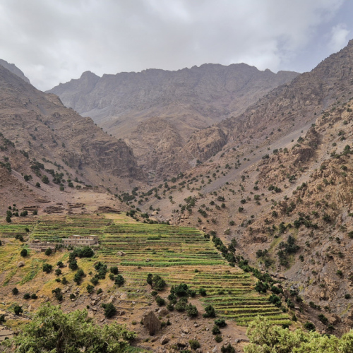 Nous progressons bien. Maroc, Trek Djebel Toubkal.
