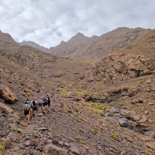 Le groupe chemine Mohamed en tête. Maroc, Le Djebel Toubkal.