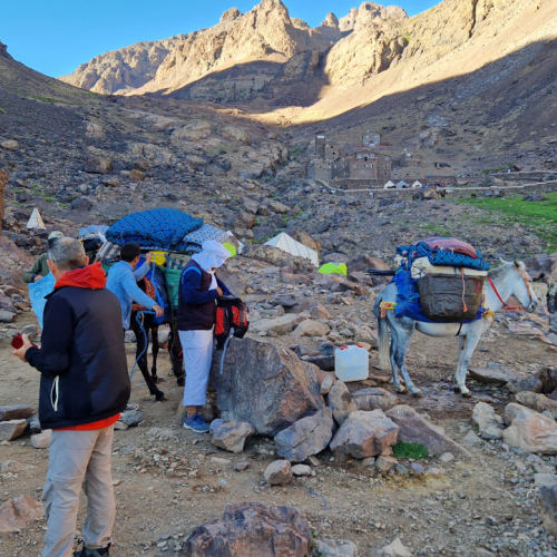 Nous quittons le campement du refuge, chargement des mules. Maroc, Le Djebel Toubkal.