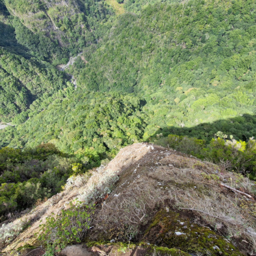 Randonnée à Balcoes.
L'apique est vertigineux ! Madère, Balcoes.