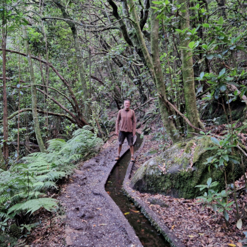 Nous suivons le levada sur quelques kilomètres. Madère, Fanal.
