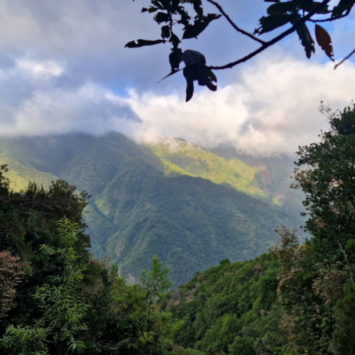 Le beau temps se confirme. Madère, Fanal.