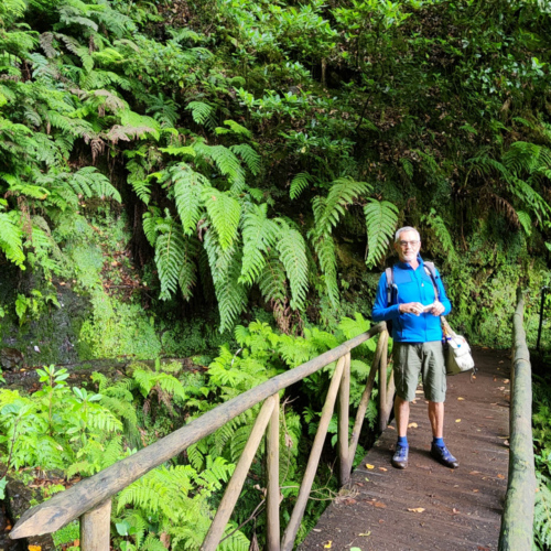 Nous suivons le levada sur quelques kilomètres. Madère, Fanal.