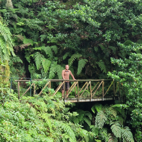 Nous suivons le levada sur quelques kilomètres. Madère, Fanal.