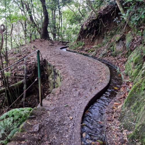 Nous suivons le levada sur quelques kilomètres. Madère, Fanal.