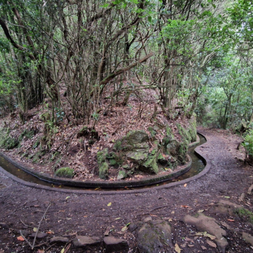 Nous suivons le levada sur quelques kilomètres. Madère, Fanal.