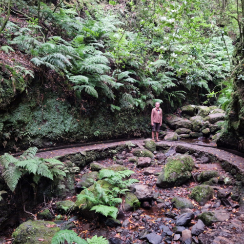 Nous suivons le levada sur quelques kilomètres. Madère, Fanal.