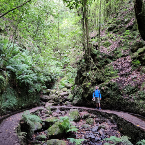 Nous suivons le levada sur quelques kilomètres. Madère, Fanal.
