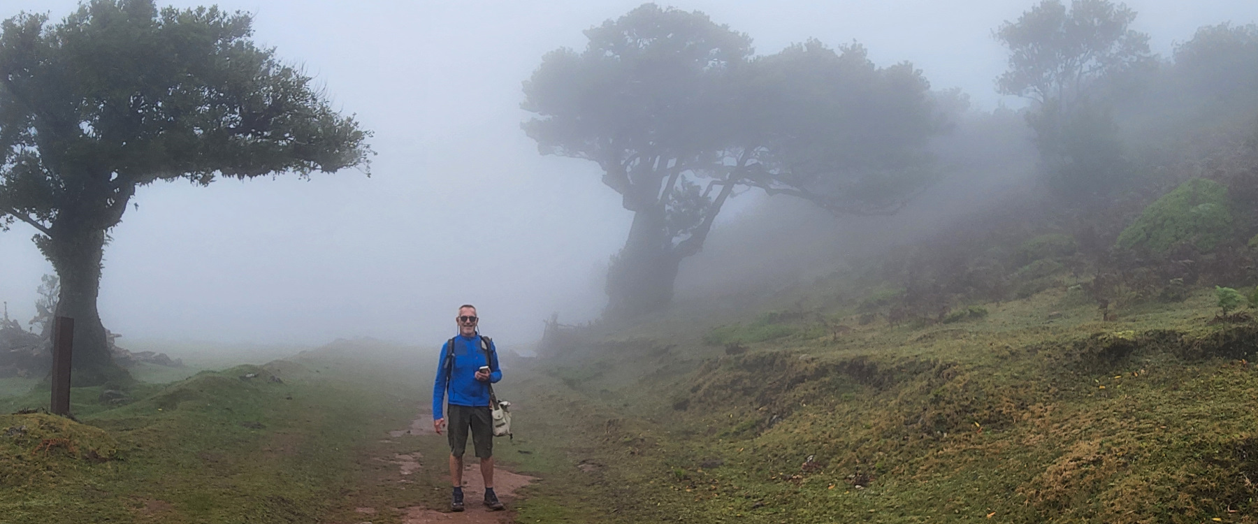 La forêt fantomatique de Fanal. Madère, Fanal.