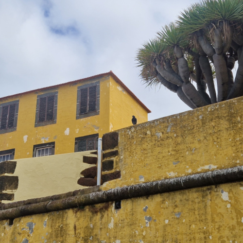 La forteresse de São Tiago. Madère, Funchal.