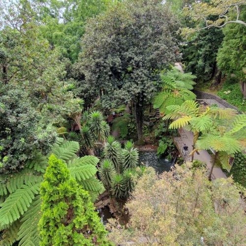 Le jardin tropical de Monte Palace. Madère, Funchal.