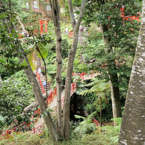 Le jardin tropical de Monte Palace. Madère, Funchal.