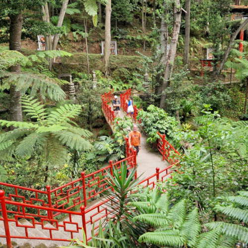 Le jardin tropical de Monte Palace. Madère, Funchal.