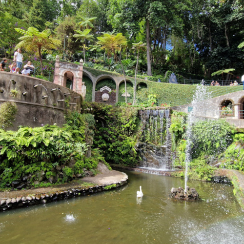 Le jardin tropical de Monte Palace. Madère, Funchal.