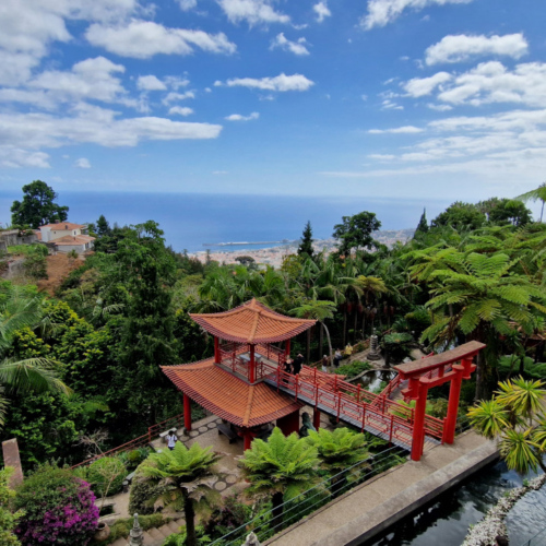 Le jardin tropical de Monte Palace. Madère, Funchal.