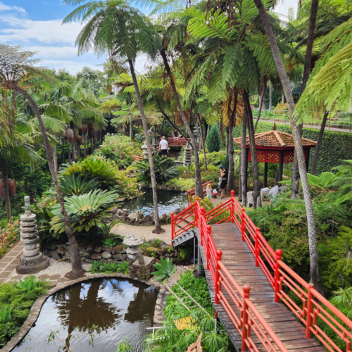 Le jardin tropical de Monte Palace. Madère, Funchal.