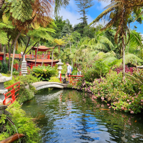 Le jardin tropical de Monte Palace. Madère, Funchal.