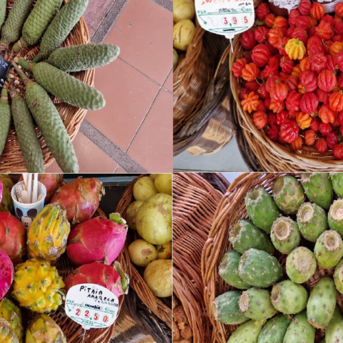 Marché municipal de Funchal. Des fruits exotiques Madère, Funchal.