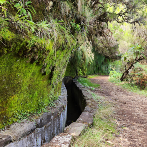 Sentier sous le Mirador Bica da Cana. Madère, Mirador Bica da Cana.