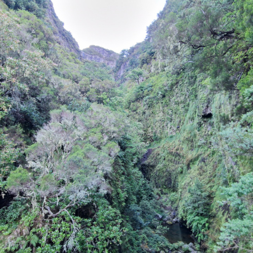 Une gorge étroite. Madère - Rabaçal - 25 Fontes.