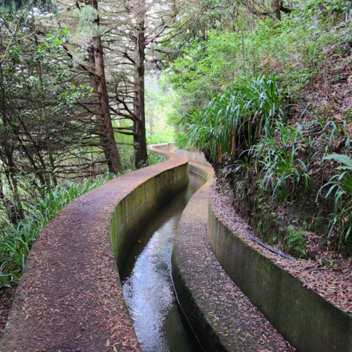 Le levada est très important mais peu rempli. Madère - Encumeada.