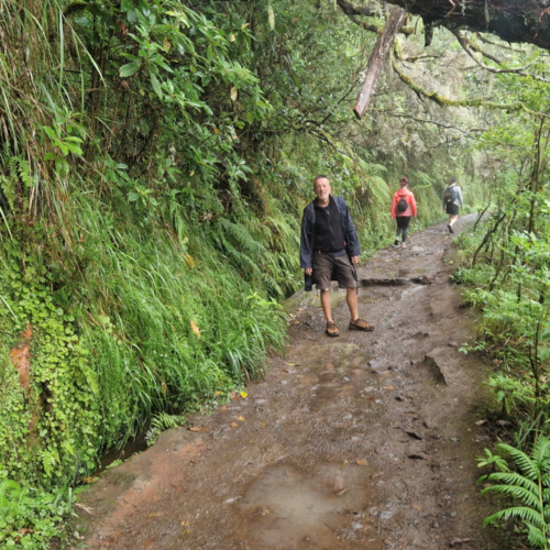 Randonnée Caldeirão Verde. Madère, Caldeirao Verde.