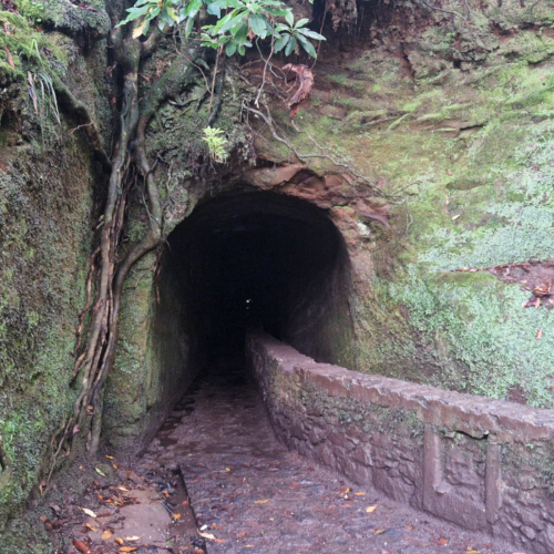 Randonnée Caldeirão Verde. Madère, Caldeirao Verde.