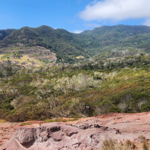 Zone assez aride, Red Rocks se situe avant la presqu'île São Lourenço. Madère, Red Rocks.