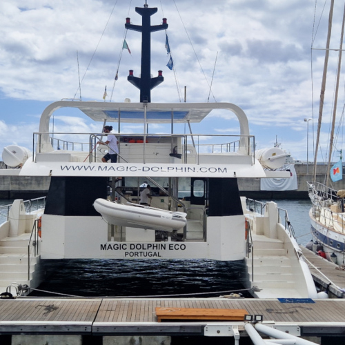Le catamaran de notre sortie. Madère, Funchal.