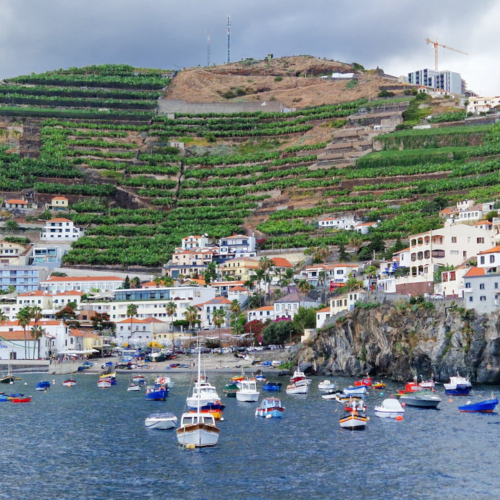 Sortie en Catamaran. Le petit port de Camara. Madère, Funchal.