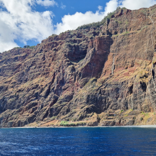 Sortie en Catamaran. Madère, Funchal.