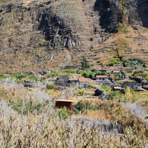 Nombreuses cultures. Madère - Porto Moniz.