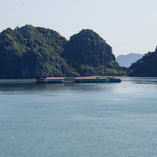 Vietnam, la Baie d'Halong maritime.
Ferme piscicole. Vietnam, la Baie d'Halong maritime.