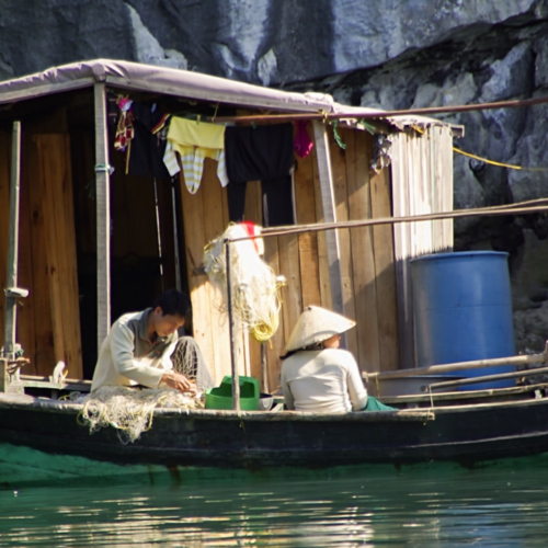 Vietnam, la Baie d'Halong maritime.
Village de pêcheurs. Vietnam, la Baie d'Halong maritime. Village de pêcheurs.
