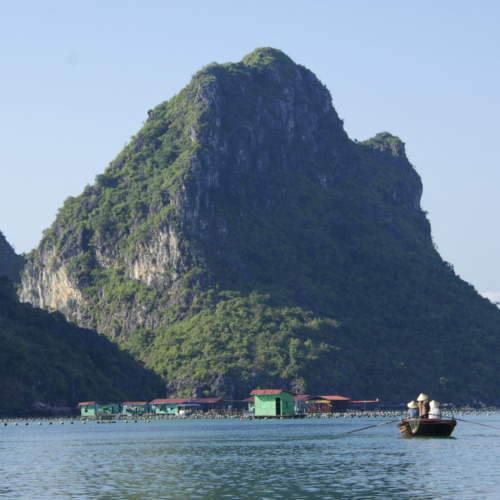 Vietnam, la Baie d'Halong maritime. Nous quittons le village de pêcheurs. Vietnam, la Baie d'Halong maritime.