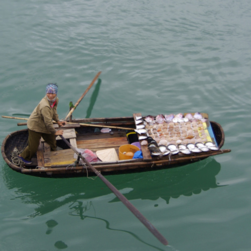 Vietnam, la Baie d'Halong maritime. Marchande de souvenirs, des coquillages. Vietnam, la Baie d'Halong maritime.