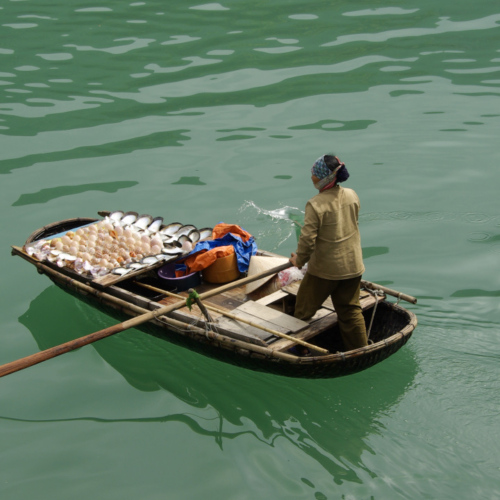 Vietnam, la Baie d'Halong maritime. Vietnam, la Baie d'Halong maritime.